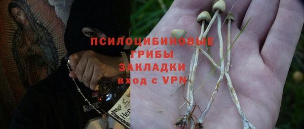 ECSTASY Абаза