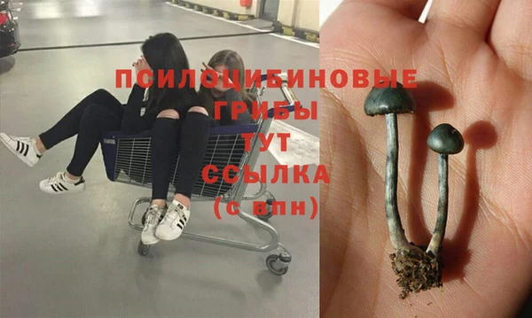 ECSTASY Абаза